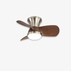 American Ceiling Fan Light