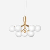 Apiales Chandelier