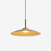 Arcadian LED Pendant Light