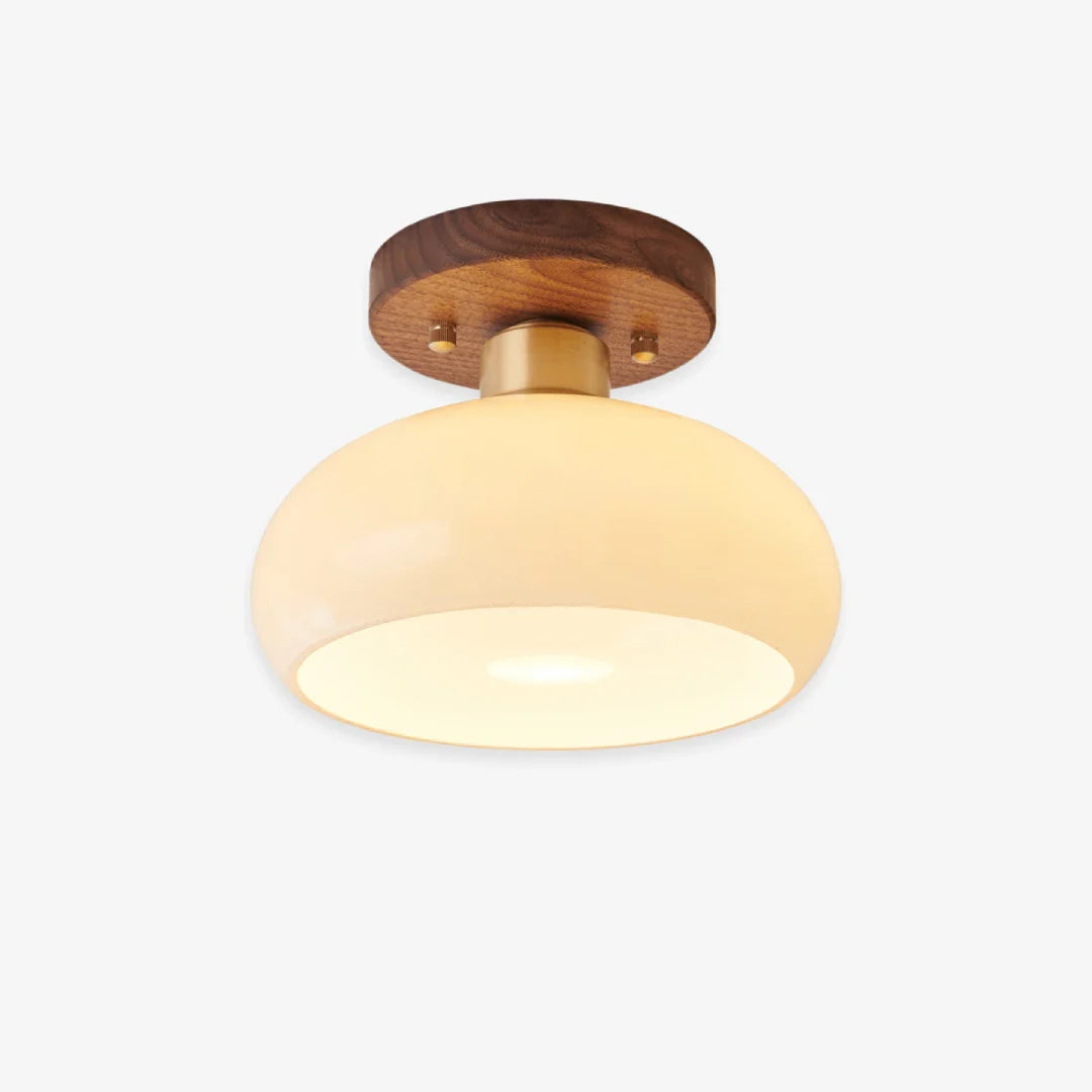 Ancient Road Ceiling Light