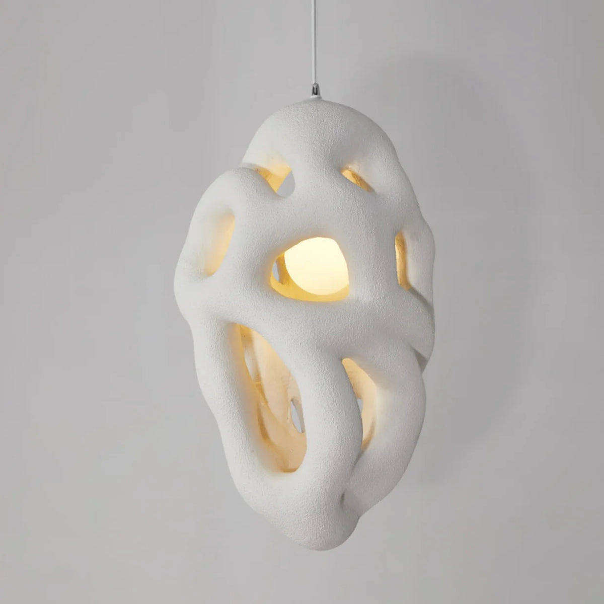 Ant Nest Pendant Lamp