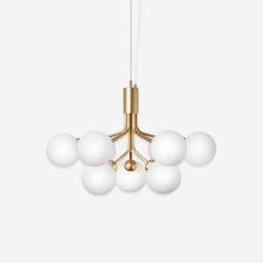 Apiales Chandelier